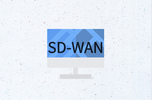 SD-WAN不同替代方案