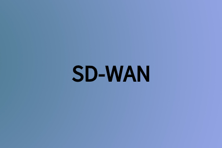 正确的SD-WAN解决方案