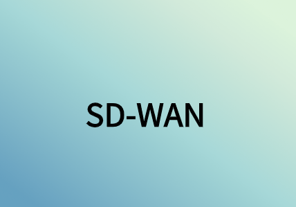 SD-WAN早期架构