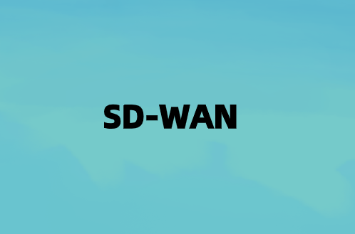SD-WAN混合