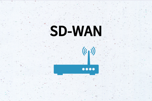 SD-WAN边缘设备