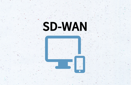 SD-WAN，与多个运营商合作
