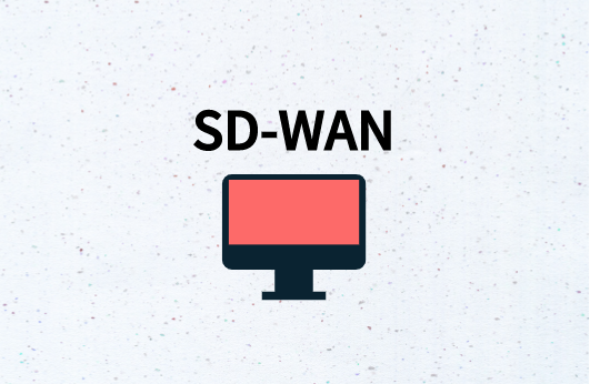 SD-WAN边缘路由器