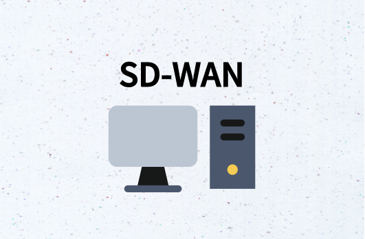 SD-WAN核心概念