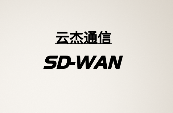 如何定制SD-WAN?