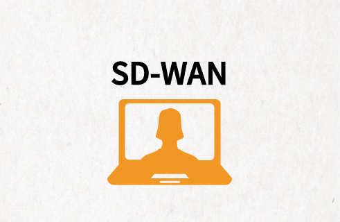 SD-WAN托管优势