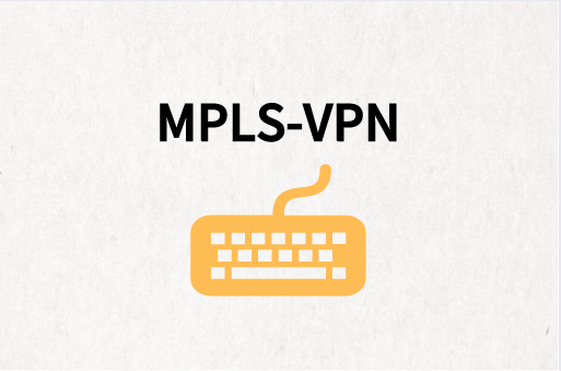 传统MPLS-VPN技术组网方式