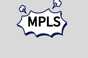 MPLS运用：MPLS原理及应用