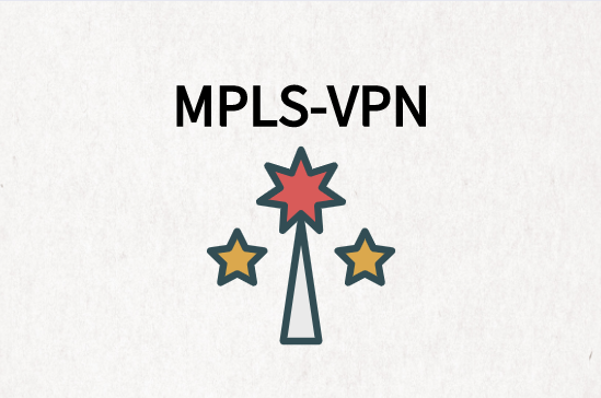 满足多种业务形式的MPLS-VPN