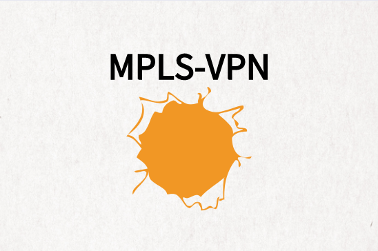 MPLS-VPN支持国际网络访问吗?