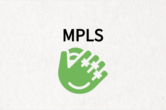 联通MPLS组网方案