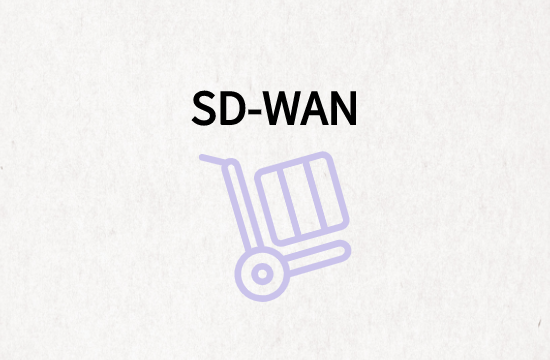 SD-WAN部署要求
