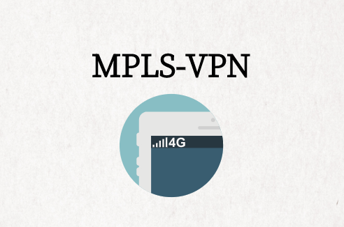 MPLS-VPN的应用