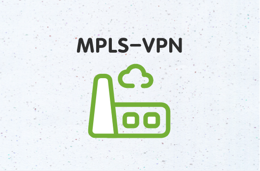 MPLS-VPN，在企业广域网(WAN)中共存
